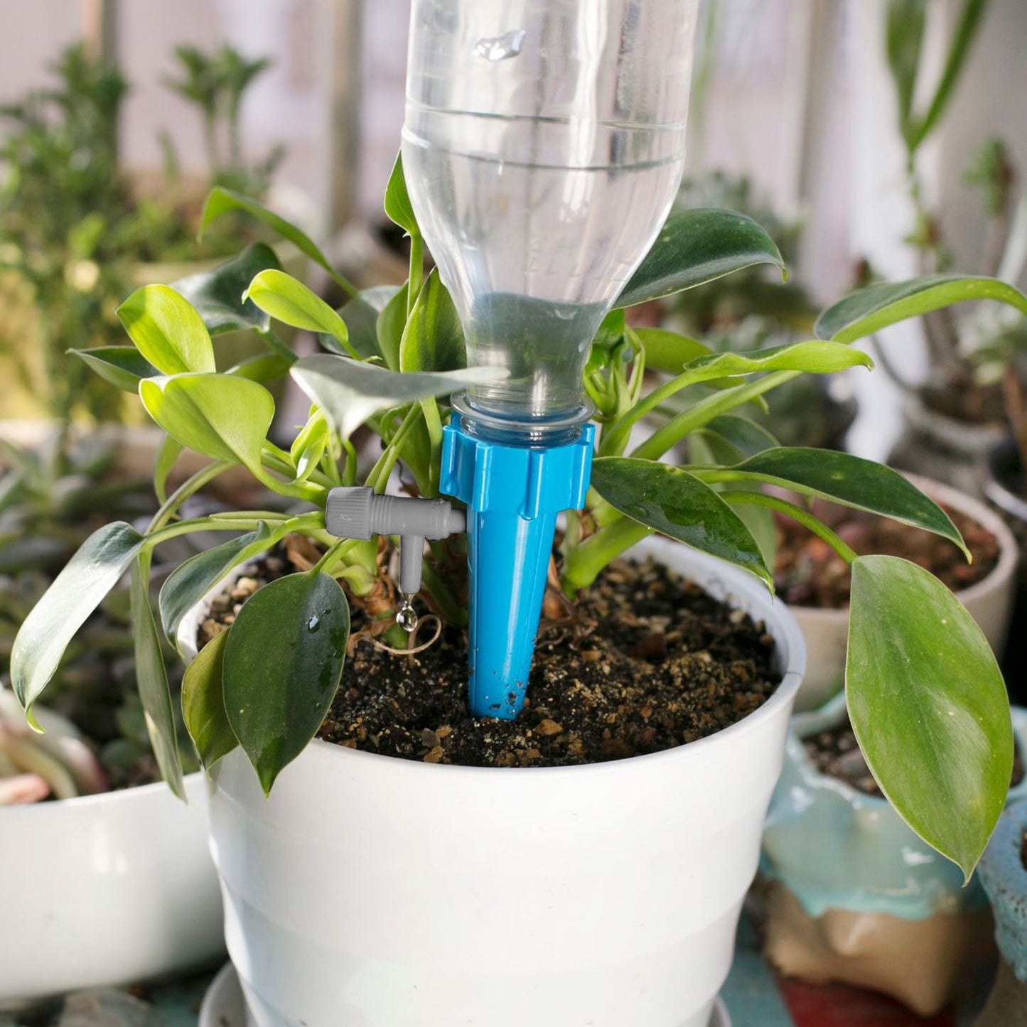 24PCS Adjustable Self Watering Spikes – Fits 1.1" Bottles, 0-60s Drip Control, Up to 15 Days Irrigation,Eco-Friendly & Easy to Use,Automatic Plant Watering Devices for Indoor & Outdoor Plants