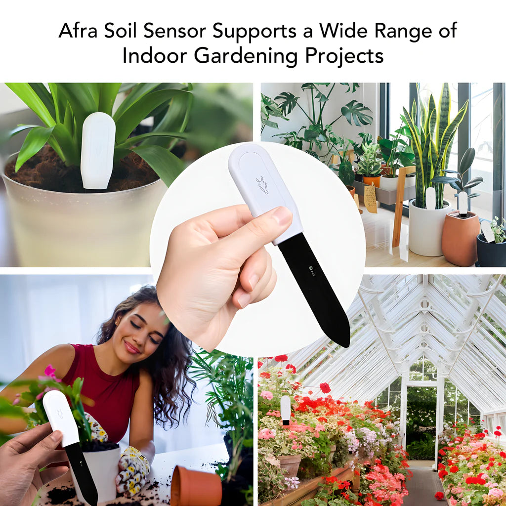 AFRA Indoor Smart Soil Moisture Sensor