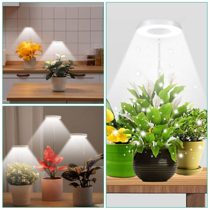 LED Grow Light for Indoor Plants