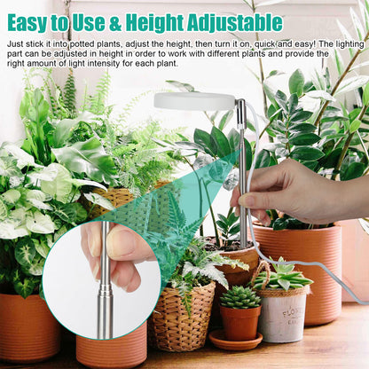 LED Grow Light for Indoor Plants