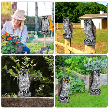 The fake owl garden Statues