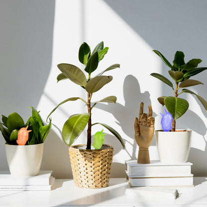6Pcs Bird-Shaped Plant Watering Spikes – 60ml Drip Irrigation Device,Automatic Drip Irrigation Spikes for Potted Plants, Houseplants, and Flower Beds