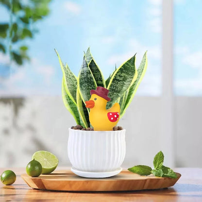 4pcs Terracotta Self Watering Stakes - Automatic Plant Waterers, 110ml Capacity, Easy to Refill, Perfect for Potted Plants, Hanging Plants, and Garden Use（Cute Duck ）