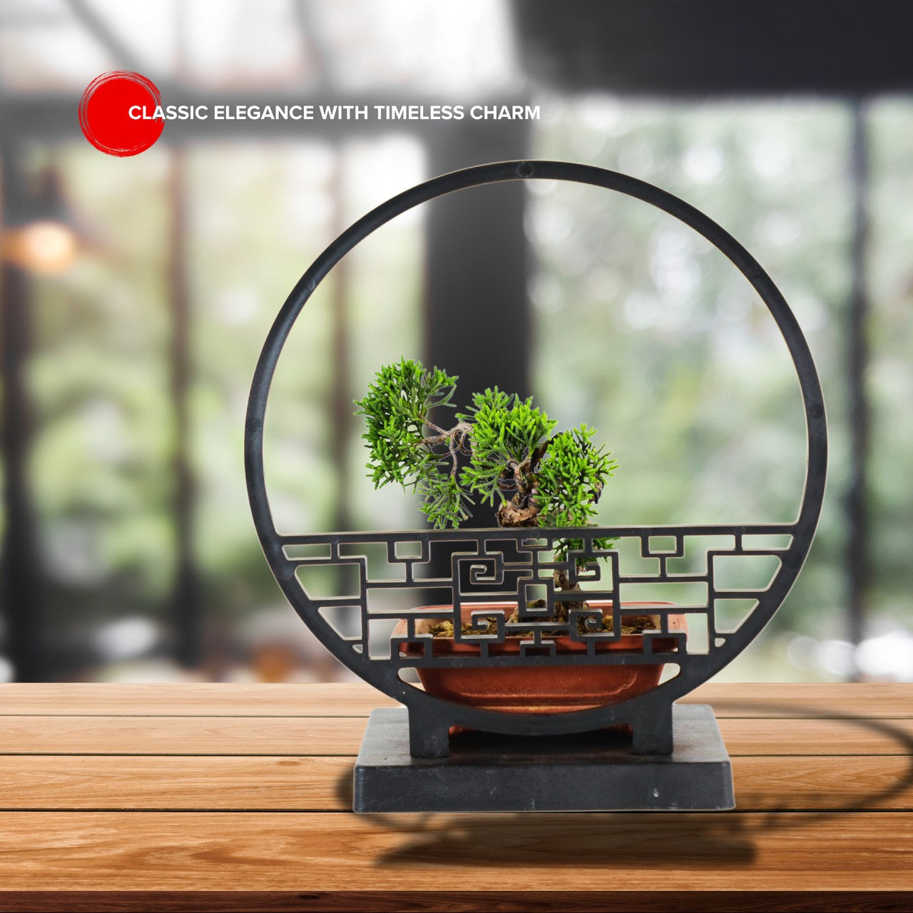 5-Yr Masterpiece Cypress Bonsai - Curved Zen-style trunk with Premium Sand Clay Pot,Easy Care, Live Indoor Plant,for Indoors,Home,Gardens Decoration